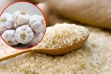 Vùi tỏi hoặc hạt tiêu vào thùng gạo, bất ngờ về điều kỳ diệu "vàng 10"