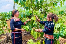 Những phụ nữ khởi nghiệp từ tài nguyên bản địa