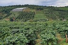 Đắk Lắk cho phép xây công trình tối đa 100m² trên đất nông nghiệp