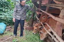 Kinh tế thăng hoa từ nguồn vốn vay ưu đãi