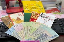 Khảo sát kế hoạch lương, thưởng Tết 2025 trên cả nước trước ngày 15/12