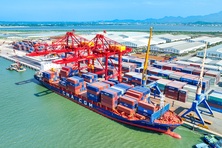 Quảng Ngãi dự kiến năm 2024 có 8 chỉ tiêu vượt kế hoạch