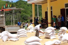 Hỗ trợ hơn 21,8 nghìn tấn gạo cho người dân trong 10 tháng đầu năm 2024