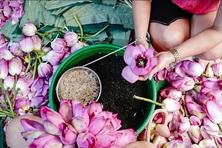Đến Hà Nội nhất định phải nghĩ ngay đến 12 món này mua về làm quà
