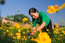 Biến bãi rác thành “tọa độ sống ảo”