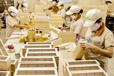 Việt Nam - Hoa Kỳ: Thắt chặt mối quan hệ thương mại và kinh tế