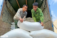 Hỗ trợ cho người dân gần 21.800 tấn gạo trong 11 tháng năm 2024