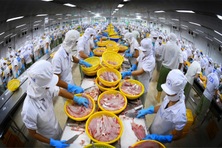 Xuất khẩu nông, lâm, thủy sản hướng tới kỷ lục 60 tỷ USD