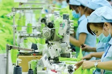 Công bố tiền Tết Ất Tỵ, Bình Dương thưởng cao nhất 375 triệu đồng