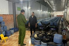 Bộ Nông Nghiệp yêu cầu báo cáo vụ giá đỗ ngâm chất cấm tại Đắk Lắk