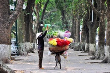 “Ký ức Hà Nội” dịu dàng với ngõ nhỏ phố nhỏ thân thương