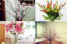 Top các loại hoa chơi Tết cát tường và cách để hoa tươi lâu đem lại may mắn