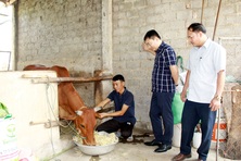 Tạo sinh kế cho người dân để giảm nghèo bền vững