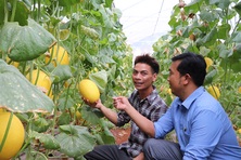 Bà Rịa - Vũng Tàu: Không còn hộ nghèo theo chuẩn quốc gia
