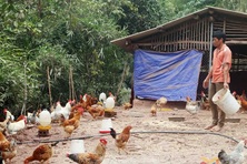 Quảng Ninh: Trao “cần câu” giúp người dân thoát nghèo