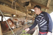 Lạng Sơn: Đa dạng hóa sinh kế, phát triển các mô hình giảm nghèo