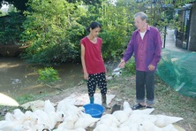 Bảo Thắng (Lào Cai): Khơi dậy ý chí vươn lên thoát nghèo của người dân