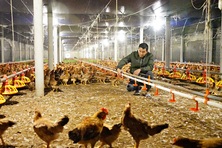 Hà Tĩnh: Cụ thể hoá chính sách giảm nghèo