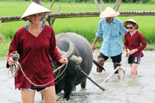 Du lịch nông nghiệp - Lối đi bền vững cho các vùng nông thôn