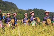 Hợp tác xã -  “Bà đỡ mát tay” giúp dân thoát nghèo