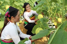 Xây dựng chuẩn nghèo đa chiều phù hợp  mục tiêu phát triển quốc gia