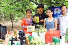 Bài toán chi phí và lối thoát từ đầu tư chế biến sâu