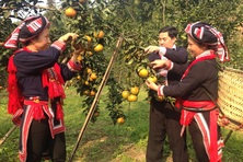 Minh chứng cho việc Việt Nam đảm bảo thực thi tốt nhất quyền con người