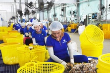 Hỗ trợ mạnh mẽ hơn cho các doanh nghiệp khởi nghiệp