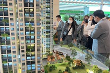 Định danh bất động sản: Nền móng cho thị trường đất đai minh bạch, bền vững