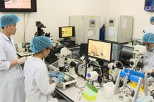 Phát triển nhân lực - đột phá chiến lược của Đại hội Đảng XIV