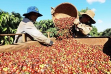 Xung đột ở Trung Đông: Thách thức mục tiêu tăng trưởng xuất khẩu năm 2026