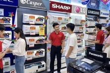 “Săn” thiết bị làm mát trước cao điểm hè
