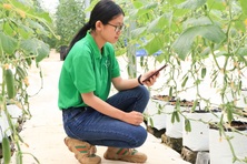 Nông sản Việt trước “cuộc đua” tiêu chuẩn toàn cầu
