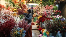 Hanoi annual flower market opens around Tet