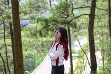 Dalat pine forests remain a major draw for visitors