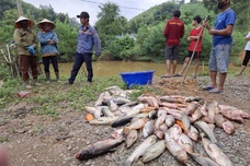 Over 1.3 tonnes of fish died of suspected poisoning