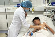 Six die from dengue fever, HCM City raises outbreak alert