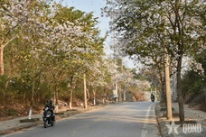 Vietnam Airlines adds Hanoi-Dien Bien flights for festival