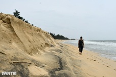 Coastal erosion leaves 1.5-metre sand wall in Quang Ngai
