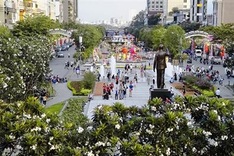 HCM City flower street ready to be opened