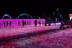 Danang park decorated to celebrate Japan relations
