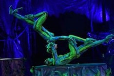 Circus, traditional arts to be combined on stage for first time