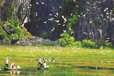 Ca Mau offers respite for the weary soul