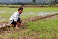 Hydro-power project blamed for causing water shortage in Dak Nong