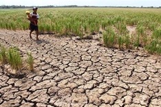 PM allocates VND350bn for Mekong Delta to fight drought