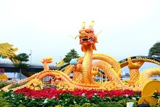 Dragon-themed park proposed in Danang