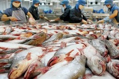 Cambodia cancels Vietnamese catfish import ban
