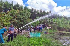 Nearly 4,000ha of forest in Ca Mau at extreme fire risk