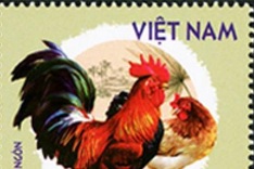 Newly issued stamps to feature native Vietnamese chickens