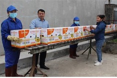 Cao Phong oranges exported to Europe